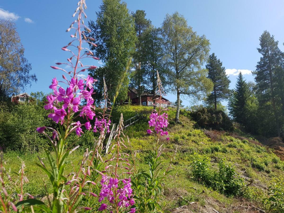 Bjoernforsens Turist & Konferenshotell, Naera Husum, Oernskoeldsvik Bjorna 외부 사진